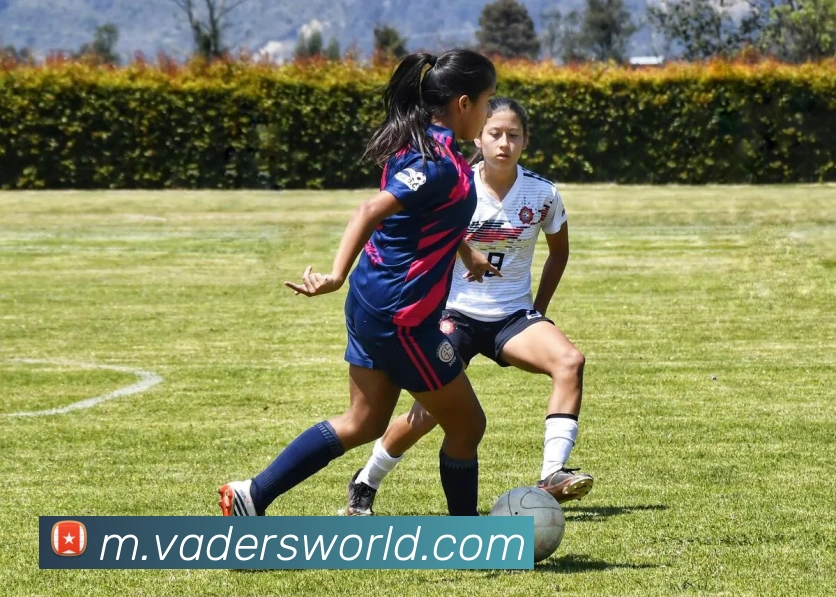 云开官网入口APP 高清赛事图